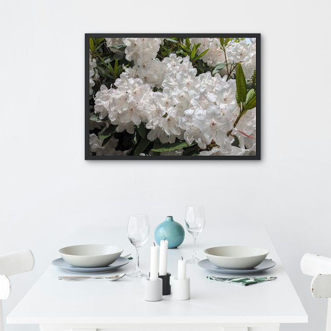 Póster Linda Rhododendron Blooms Floral (In Situ (Framed))