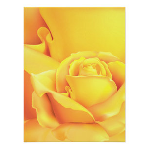 Póster Linda Rosa Amarela