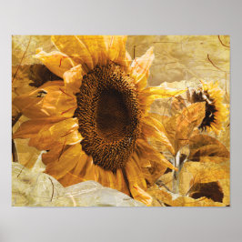 Poster Linda Textura Amarela Gigante Foto Girassol