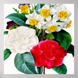 Poster Lindas flores antigas