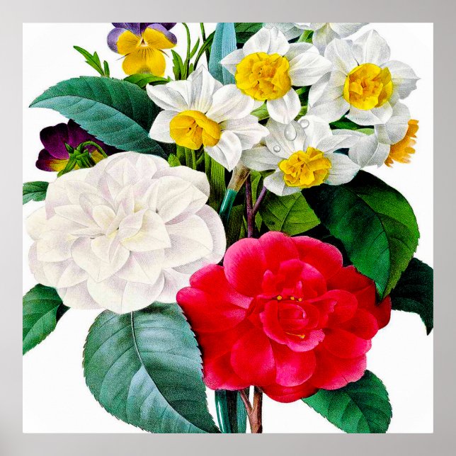 Poster Lindas flores antigas (Frente)