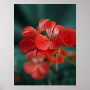 Poster Lindas flores de primavera