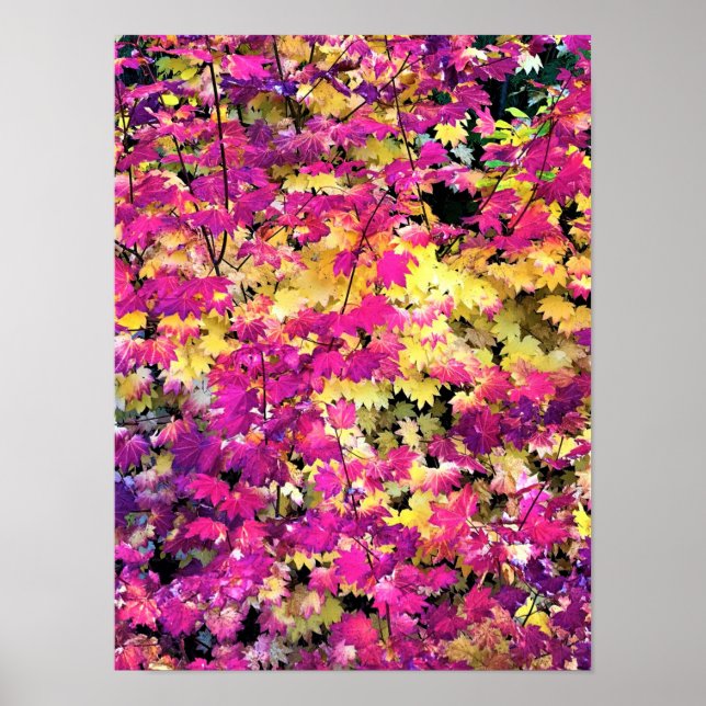 Poster Lindas Folhas (Frente)