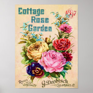 Poster Lindo Anúncio De Catálogo Vintage Flower