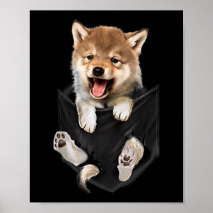 Poster Lindo Bebê Lobo No Bolso Animais Amantes De Lobos 