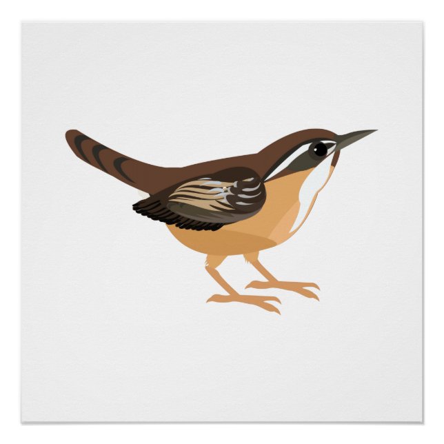 Póster Lindo carolina wren (Frente)