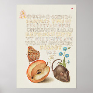 Poster Lindo Ilustração Botânica Vintage