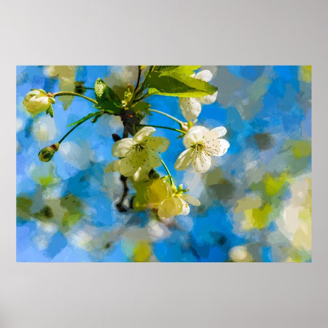 Poster Lindos Blossomas de Cereja (Frente)