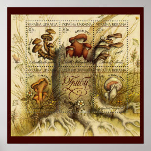 Poster Lindos Cartazes De Cogumelo ~ Toadstool Ucrânia 19
