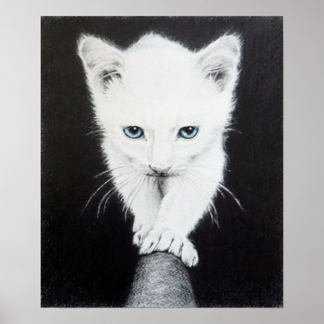 Póster Lindos gatinhos brancos Desenho de arte de animais (Frente)