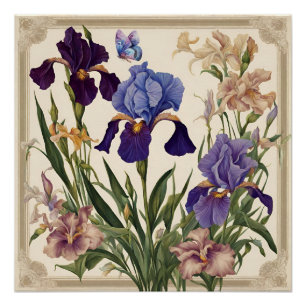 Póster Lindos Iris Flower Blooms