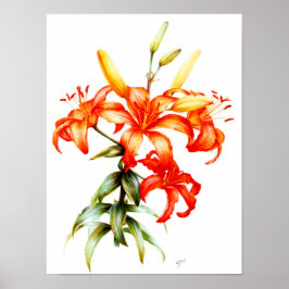 Poster Lindos lápis de lírios laranja e arte aquática