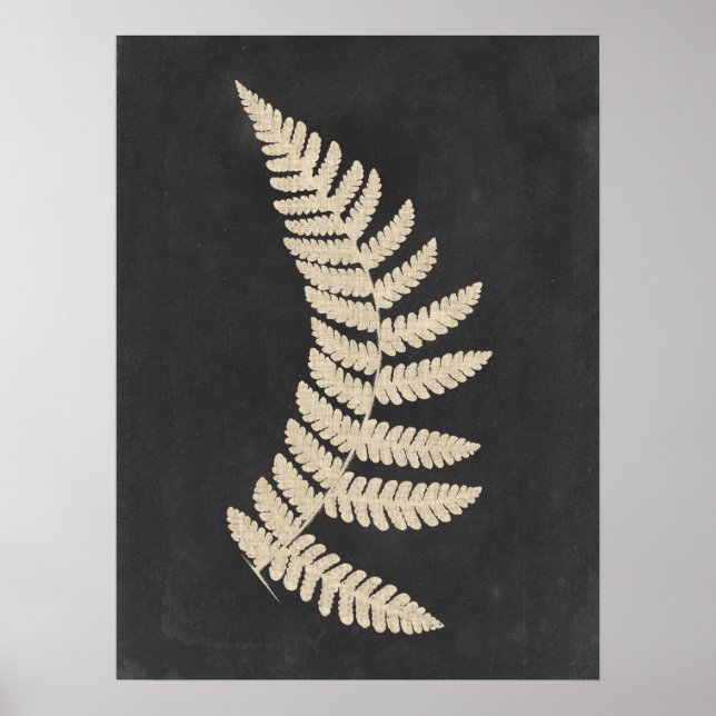 Poster Linen Fern (Frente)