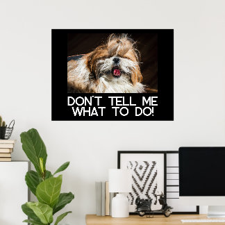 Poster Língua de shih tzu engraçada Não me diga o que faz