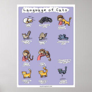 Poster língua dos gatos