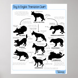 Poster linguagem corporal 16x20