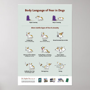 Póster Linguagem corporal do medo nos cães