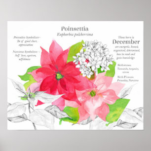 Poster Linguagem das Flores de Nascimento de Dezembro