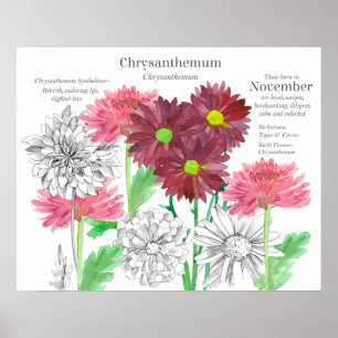Poster Linguagem das Flores de Nascimento de Novembro