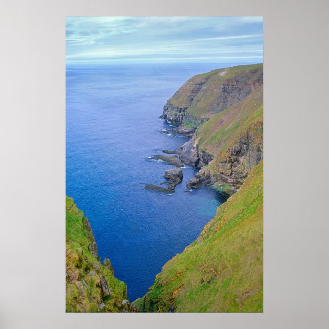 Poster Linha costeira da Terra Nova (Frente)