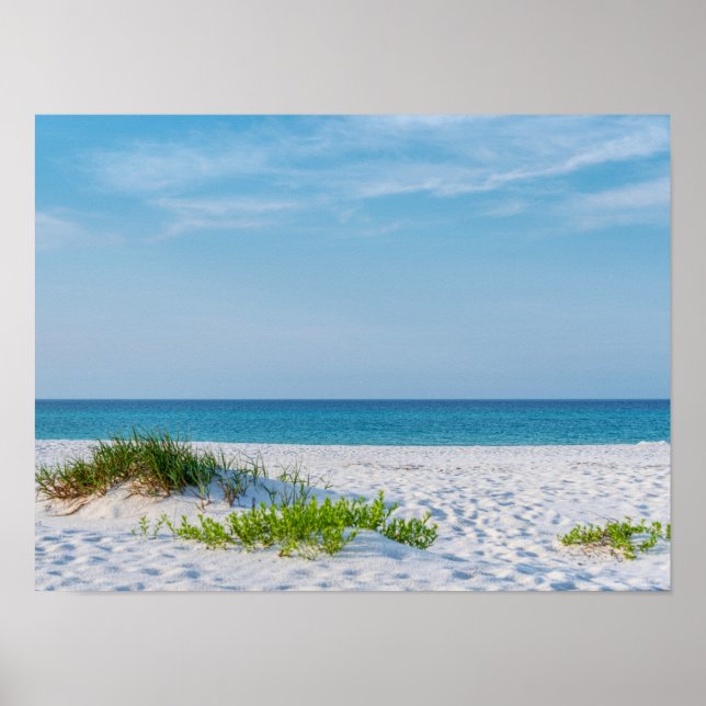 Poster Linha Costeira White Sandy Beach Florida (Frente)