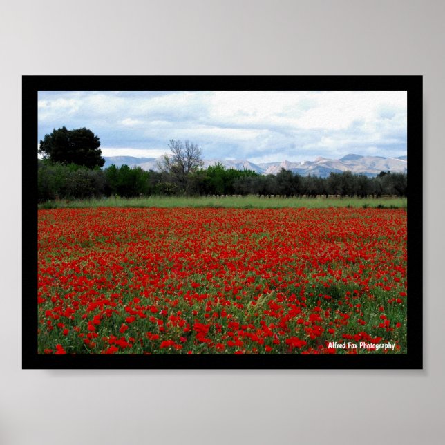 Poster Linha de Árvores no Campo de Papoulas (Frente)