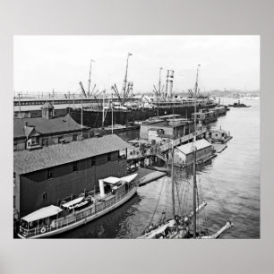 Póster Linha de Holland América