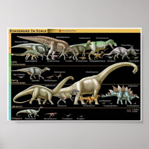 Poster Linha do Tempo Biologia dos Dinossauros