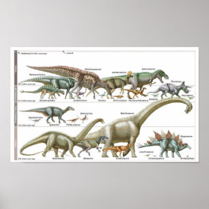 Poster Linha do tempo dos dinossauros Biologia do Jurássi