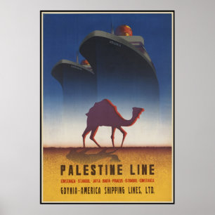 Póster Linha Palestina