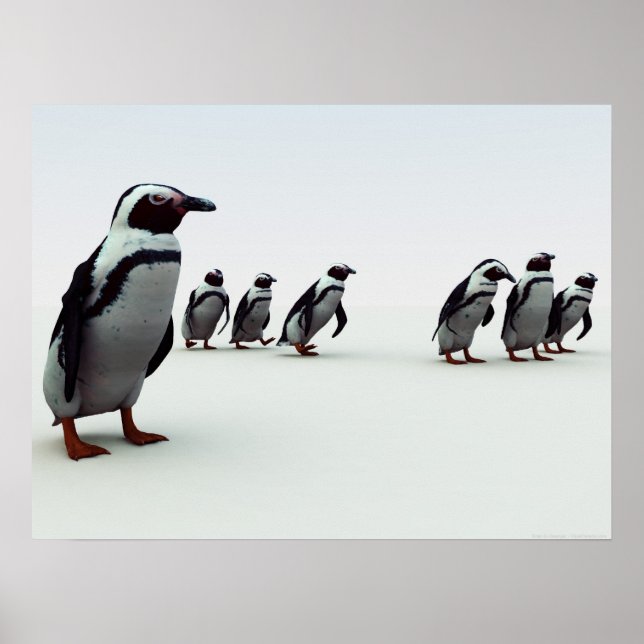 Poster Linha Pinguin-Up (Frente)