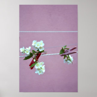 Póster Linha primavera