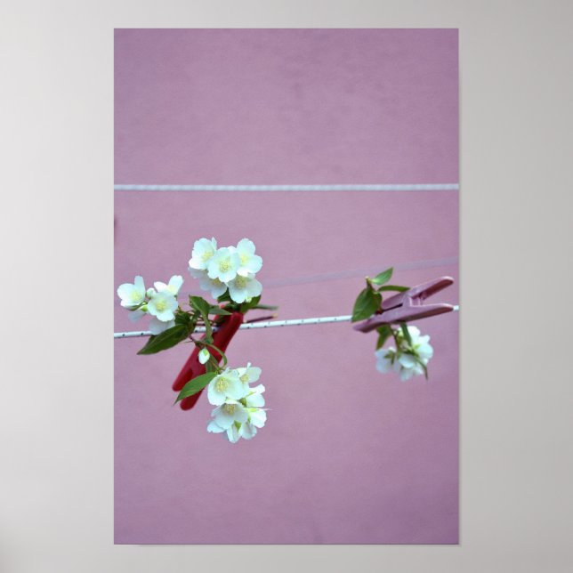 Póster Linha primavera (Frente)