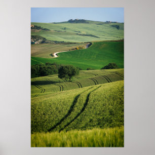 Poster Linhas curvas no pôster verde da Toscana