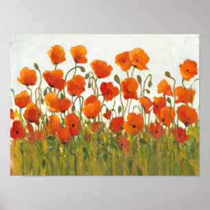 Poster Linhas de Poppies I