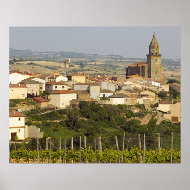 Póster Linhas de videiras de uva no primeiro plano (Frente)