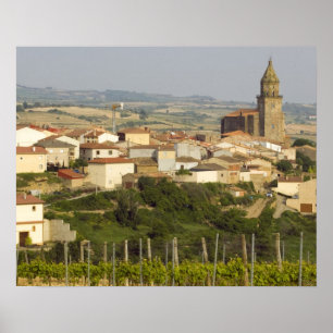 Póster Linhas de videiras em primeiro plano