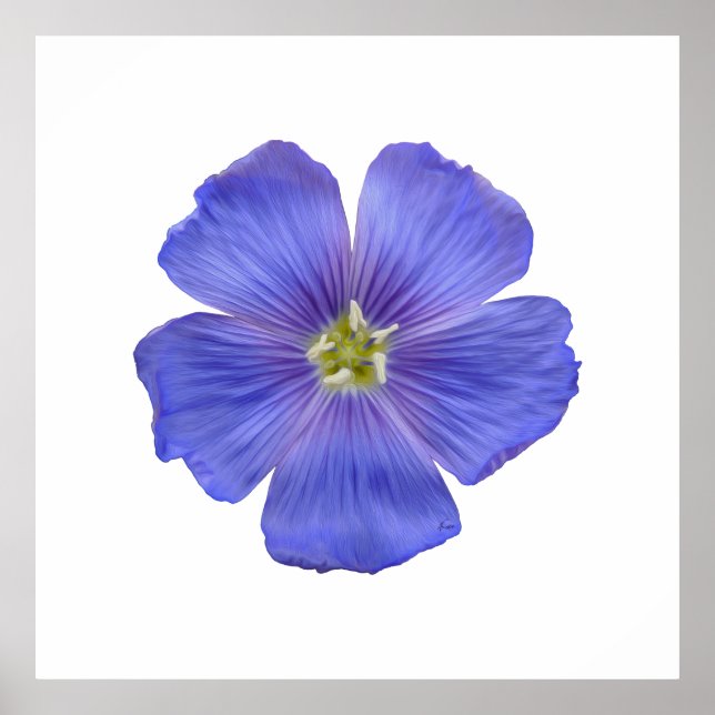 Póster Linho Azul nº 1 (Frente)