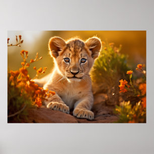Poster Lion Cub Wild Tranquil Animal Pacífico