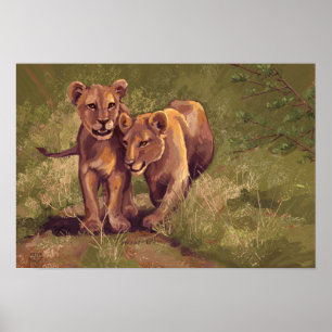 Poster Lion Cubs