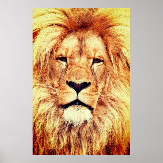 Poster Lion Face Painting Trabalho de arte-17335 (Frente)