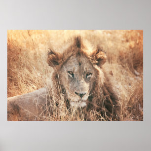 POSTER LION KING