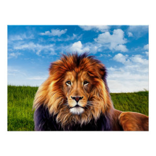 Póster Lion O Rei da Floresta