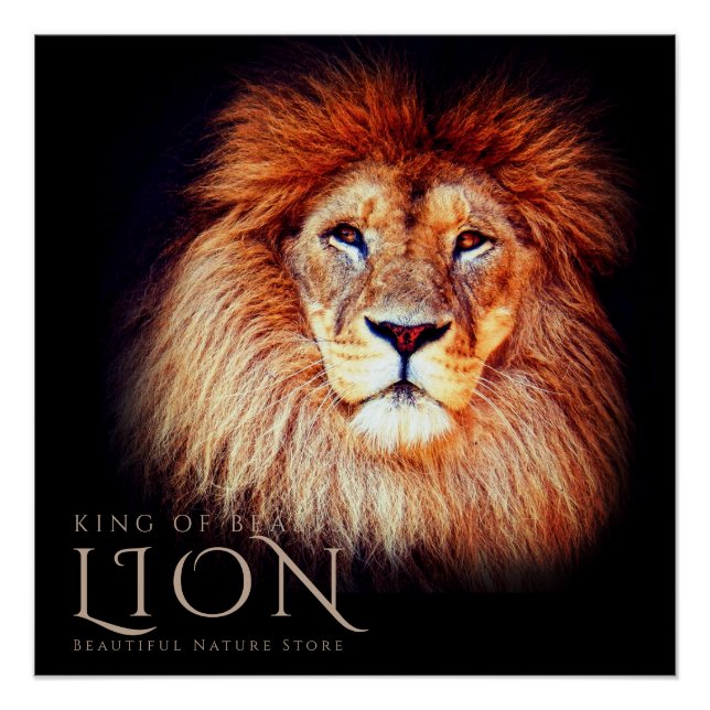 Póster Lion [Perfect Poster] (Frente)