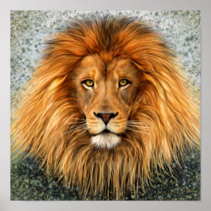 Poster Lion Photograph Paint Art image