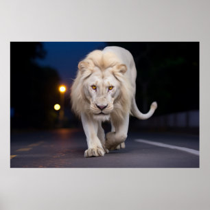 Poster Lion Wildlife Animal Na Rua Ao Exterior