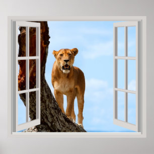 Poster Lionalidade
