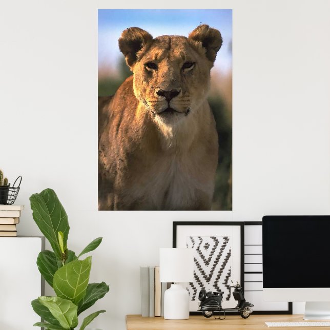 Poster Lioness Lion Lovers (Escritório em casa)
