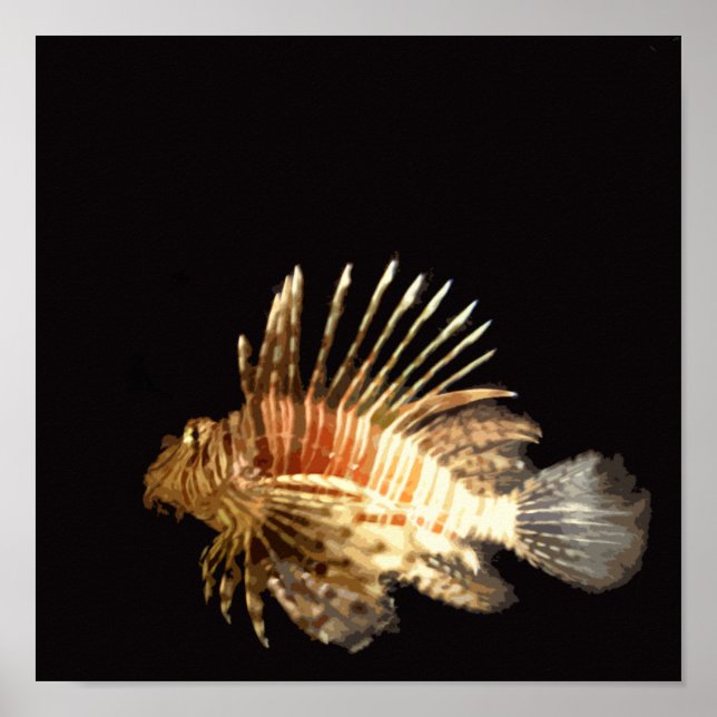 Póster Lionfish no escuro (Frente)