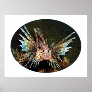 Poster Lionfish, Raja Ampat - design fotográfico  